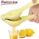 4004 Lemon Press 