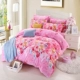 Coral quilt cover phim hoạt hình thiếu nhi Fala quilt cover sinh viên flannel dày ấm đơn duy nhất quilt cover duy nhất