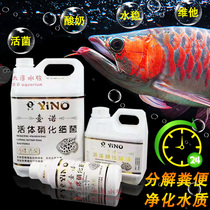 One-Nuo living nitrifying bacteria water quality stabilizer arowana fish aquatic yogurt for antifeeding