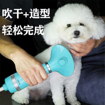 Pet electric hair dryer bath artifact blowing hair drying quick-drying mute dog cat with blow-dry pulling one comb