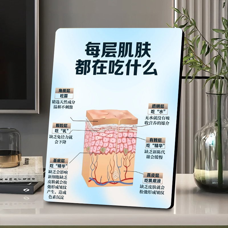 Medical Beauty Facial Plastic Surgery Decorations, Standing Frames, Skin Layering Anti-Aging Beauty Salon Skin Care Product Store Display Stands