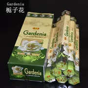 Gardenia thơm Ấn Độ - gardenia, hương, hương thực vật, hương RAJ, tươi và tự nhiên - Sản phẩm hương liệu