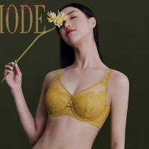 Autumn-winter ultra-thin water crystal cup lingerie female large breasted with small soft steel ring to gather upper to collect auxiliary milk to adjust bra Q22