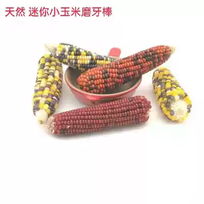 Mini corn tooth stick and delicious rabbit ChinChin guinea pig hamster tooth stick