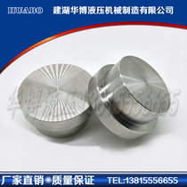 Stainless steel SAE flange plug MGN type (smooth surface without O groove cover)