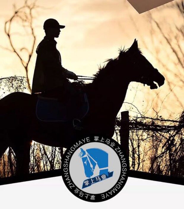 Article sports equestres - Ref 1380510 Image 6