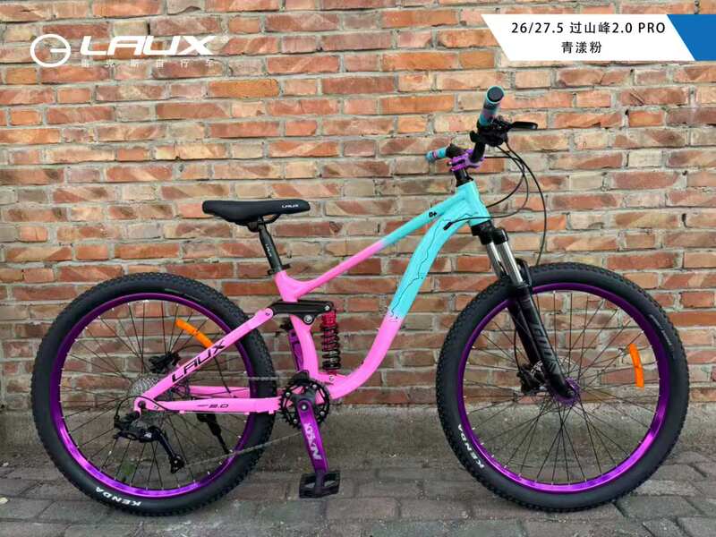 Rex Overmountain 2.0 Soft-Tail Mountain Bike with Dual Shock Absorption, Street-Style Hub, Hydraulic Disc Brakes, Student Bike, Off-Road Rex Overmountain 2.0 Soft-Tail Mountain Bike with Dual Shock Absorption, Street-Style Hub, Hydraulic Disc Brakes, Student Bike, Off-Road