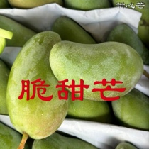 Fresh Vietnam sweet mango crisp and crisp sweet