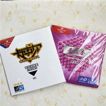 Ruikete popularizes rubber kit training for beginners coaching Arena table tennis rubber