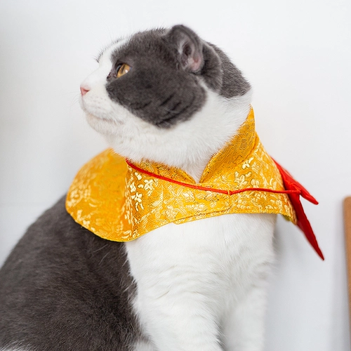 Кошка новогодняя одежда домашние животные милый костюм Tang Новый год приветствуют