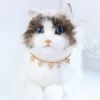 Товары от 六祇猫