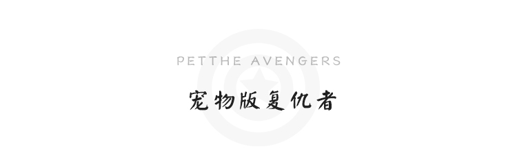 [Avenger League] thú cưng thắt nơ trang sức có thể điều chỉnh vòng cổ mèo mèo chó sắt - Cat / Dog hàng ngày Neccessities 	mua bát ăn cho chó	