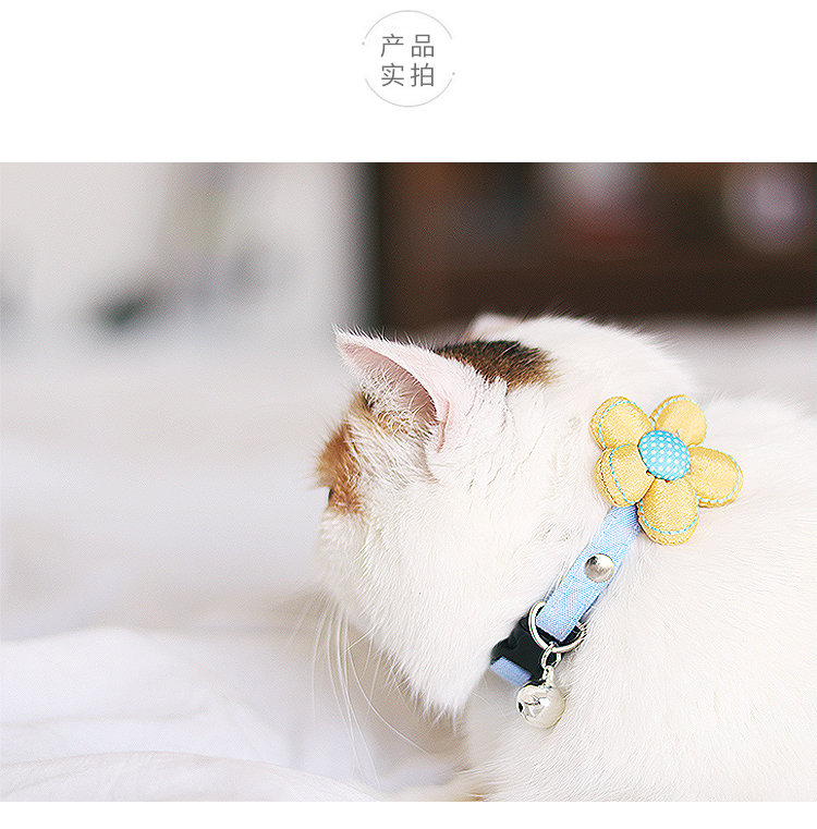 Daisy cổ áo nhỏ Pet điều chỉnh chuông cổ áo Vật liệu chống mất cổ áo chữ mềm sáu con mèo - Cat / Dog hàng ngày Neccessities 	bộ bát ăn cho mèo	