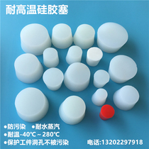 Dust hole plug Anodizing spray shielding plug high temperature resistant rubber plug silicone rubber plug thread plug hole protective plug