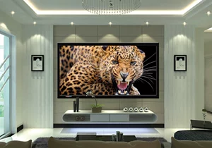 Yinghui E80 Home Cinema 4K Экран 120-дюймовый экран каркаса каркаса экрана.