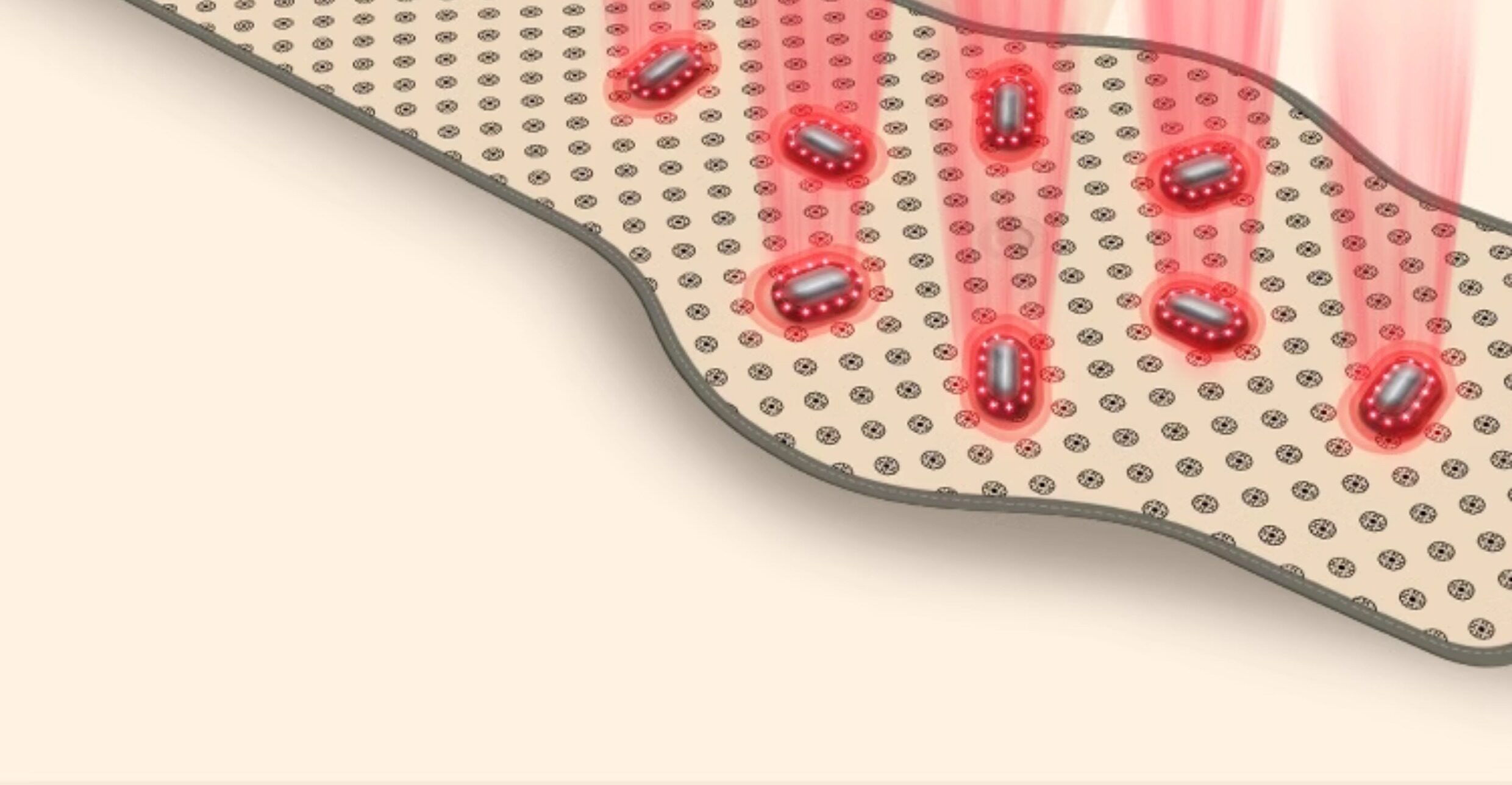 Мини-Массажер 扶元瘦腰腰带瘦肚子神器减肥燃脂减赘肉瘦肚子减小腹热敷震脂带 Phu Nguyen 1