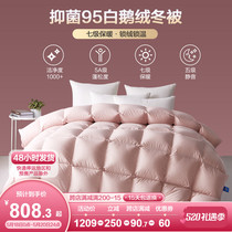 Boyo Family Spinning Down Quilt 95 White Goose Down Quilt Thickened Winter Quilt Warm Hotel Winter Quilt Core Winter Spring Autumn Quilt