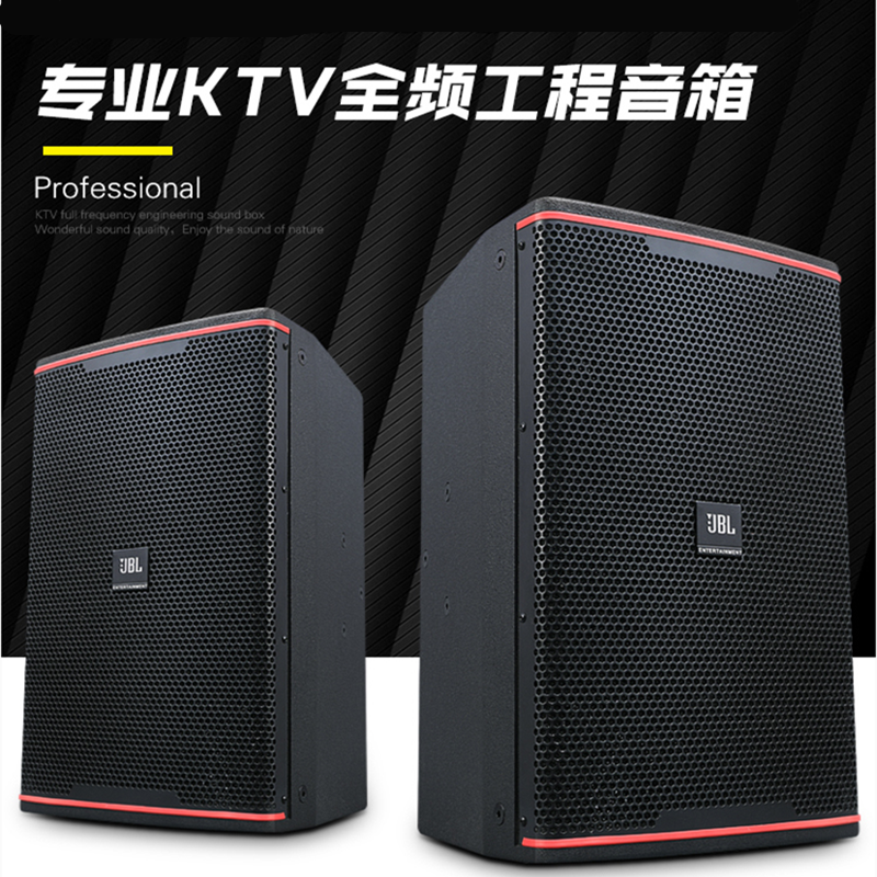 speaker professional