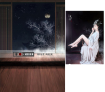 Photo studio plate costume photo photography background ancient style photo photography background cloth childrens background half face makeup