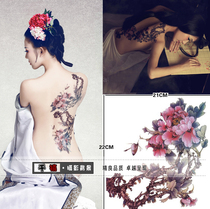 Photo studio photo tattoo decal stickers womens square stickers plate spring night Weiyang peony tattoo stickers