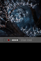 New photo studio plate costume photo theme background opera photography background cloth Jade autumn plum blossom