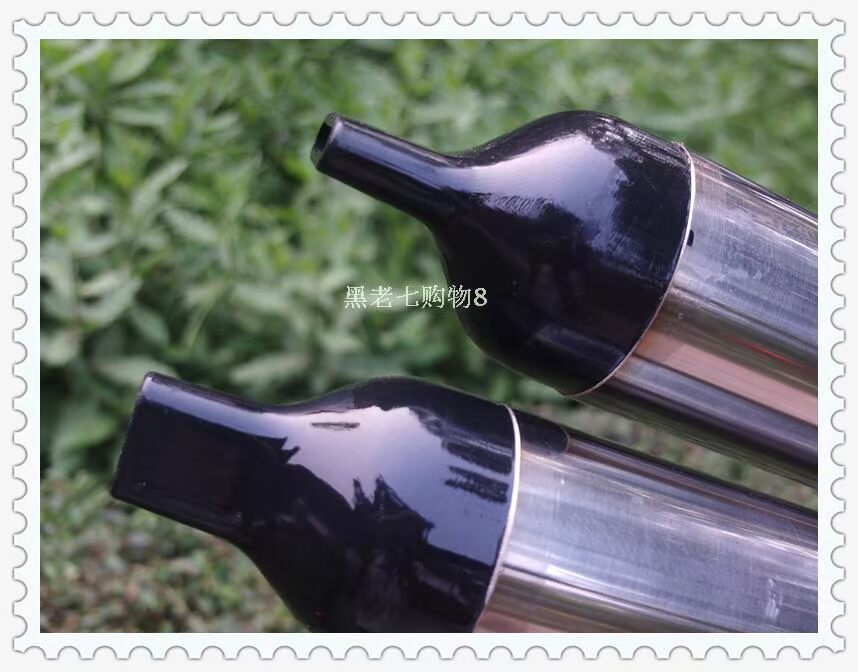 Nhạc cụ quốc gia chuyên về thép không gỉ Zizhu khắc thổi Bawu G * F mua một tặng ba ưu đãi đặc biệt miễn phí sáo ngọc