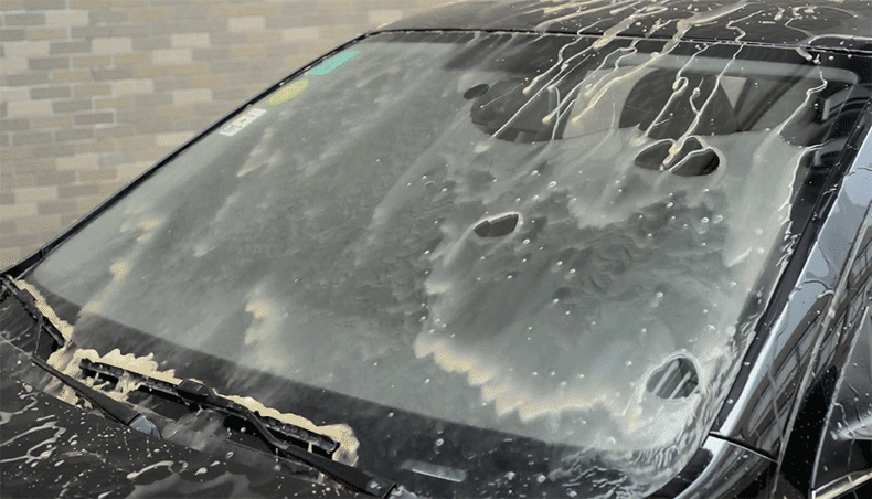 SF-04146 790 (7).gif