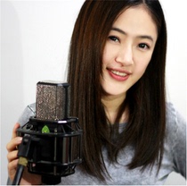 Special specials LEWITT LEWITT LCT 840 tube microphone SLR microphone dubbing anchor