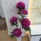 Hoa giả phong cách Trung Quốc giả hoa mẫu đơn hoa trang trí sàn phòng khách hoa 5 bông lớn màu đỏ hoa lụa trang trí hoa cưới - Hoa nhân tạo / Cây / Trái cây hoa mai giả