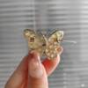New Butterfly Brooch for Women, High-End Sweet Pearl Pin, Brooch for Women's Clothing, High-End Versatile Elegant Suit Accessory