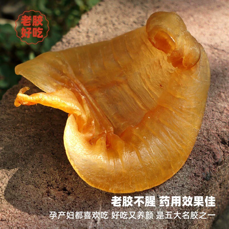 鱼胶王子的LOGO