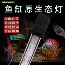 Shadow Colorful Angel Fish Special Lamp Egyptian Fairy Thunder Dragon Baka Cobra Three Primary Color Brightening Magic Lamp LED