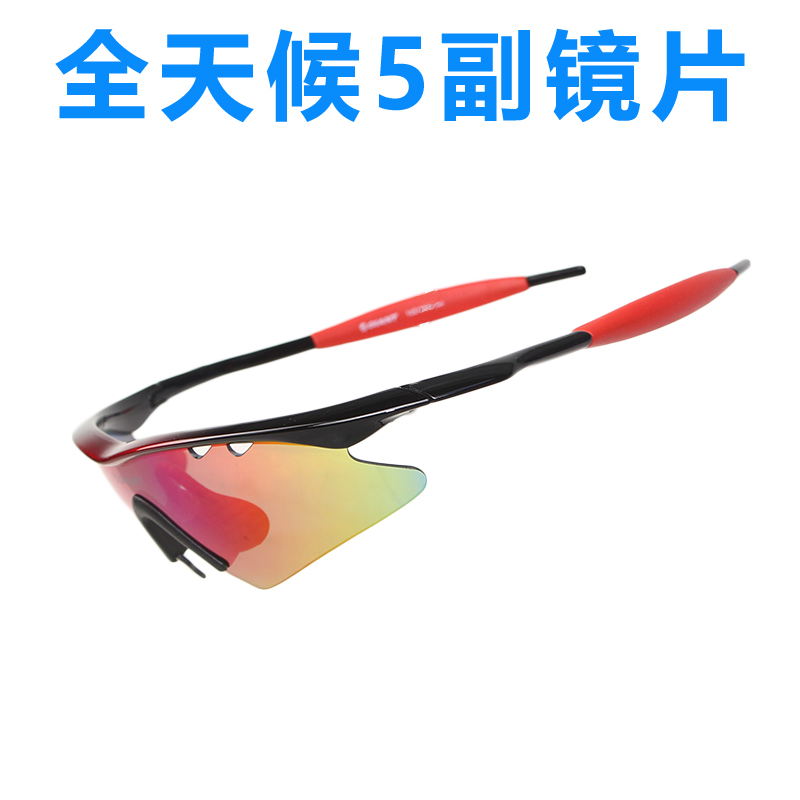 Tette GL926 Sport Outdoor Windproof Personality Comfort Professional Men's Goggles Riding Glasses