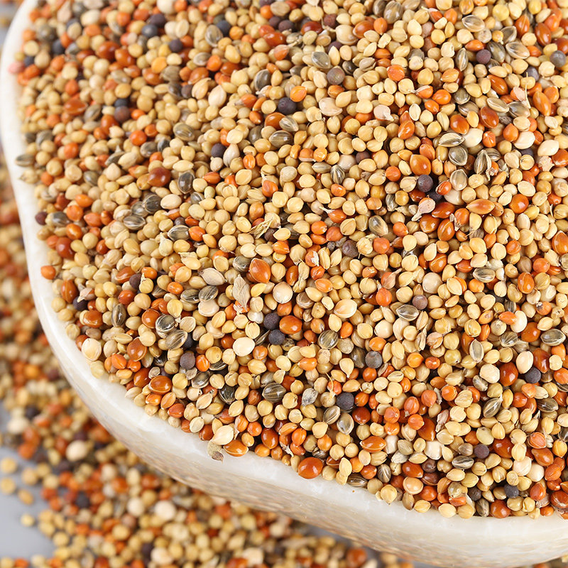 Five pounds of grain with shell grain mixed grain grain mixed with canola seed bird food