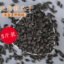 Black melon seed bird eat grain bird grain small Black Pearl a five Jin bulk sunflower seed feed bird grain
