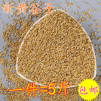A five catties of yellow millet tiger skin peony bird bird food bird feed with Shell millet nutrition bird food food