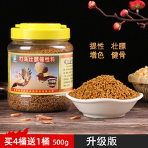 Thrush bird food feed Hong Kong top 100 birds strong food barreled bird fighting