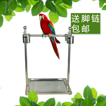 Medium and large parrot floor stand parrot stand large shelf parrot station cage bird cage stainless steel parrot stand gray parrot
