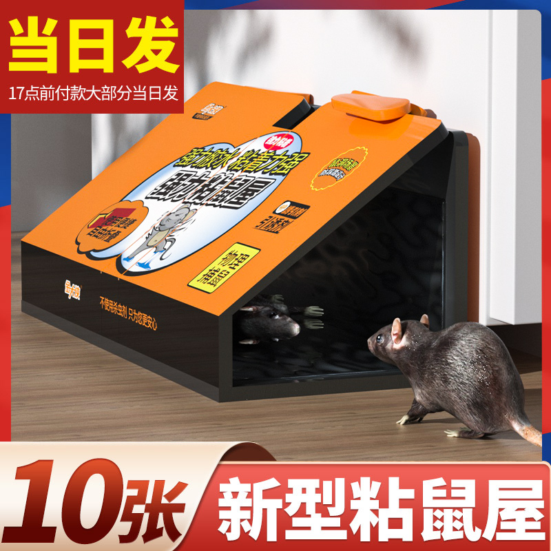 Sticky rat board strong glue big rat sticker plus size dipped mouse sticker rat catcher home