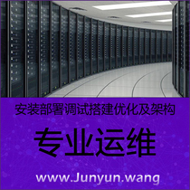 Fixed public IP address Port mapping Linux Windows installation configuration service Technical support
