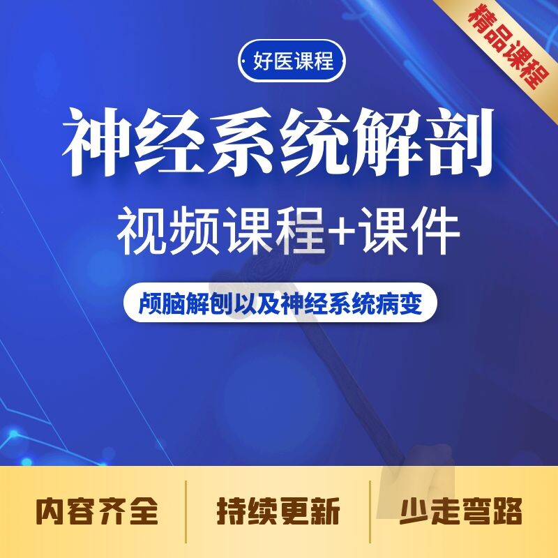 Nervous System Anatomy Film Tutorial Cranial Central Nerve Anatomical Image of the Great Patriotic Neuroanatomy