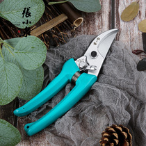 Zhang Xiaoquan Chunyue garden scissors imported SK5 steel non-slip handle branch shears household fruit and vegetable bonsai pruning scissors
