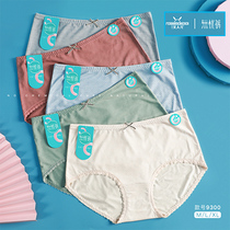 Beauty person No worries pants 5 dress lady High waist sub-pack Gluteal Cotton Mix Color boxed Triangle Briefs 9300
