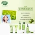 Innisfree 悦 吟 吟 chiết xuất trà xanh dưỡng ẩm sữa rửa mặt làm sạch sâu hydrating sữa rửa mặt sữa rửa mặt st ives Chất tẩy rửa