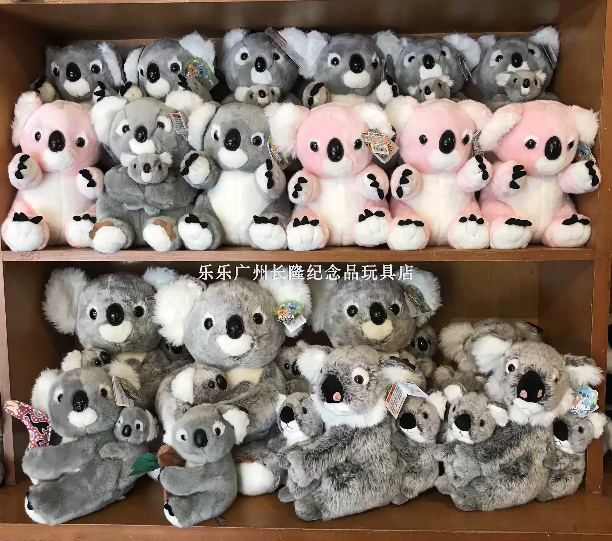 三興鳥園- 月輪的表情看起來很興奮#月輪#月輪鸚鵡#玄鳳#玄鳳鸚鵡#鸚鵡#鸚鵡日常#parrot #parrots #parakeet |  Facebook, image size:2048x1811