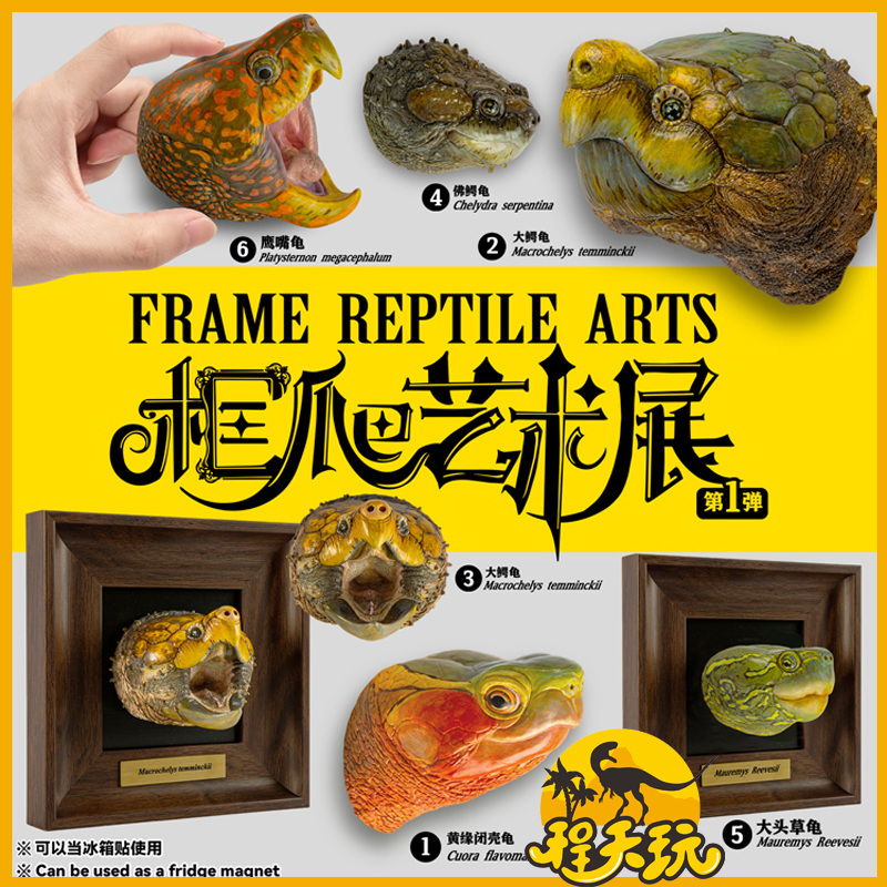 Animal Nebula Frame Art Exhibition Series No. 1 Turtle Head Portrait Crocodile Turtle Bust Photo Frame Figurine Trendy Toy