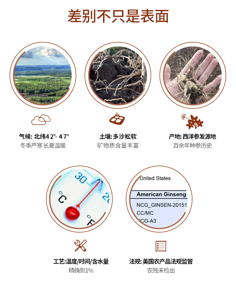 11000027 Slip Slip 80G_06.png