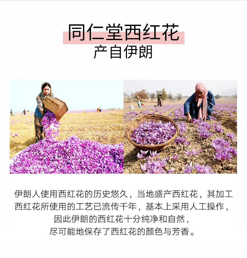 TRT098 West Red Flower 3G_03.png