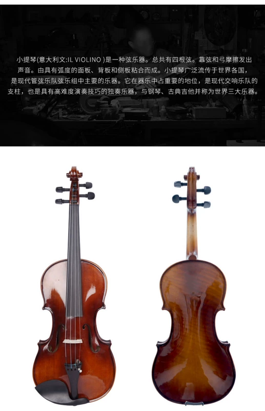 Van Gogh Western Western nhạc cụ dây mun bảng điều khiển vân sam phong trở lại tấm violin người lớn trẻ em chuyên nghiệp đàn guitar rosen g11