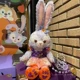 21 маленькие крылья звезда Delu Dolls